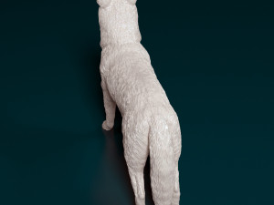 Kelpie 3Dプリントモデル