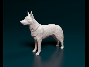 Kelpie 3Dプリントモデル