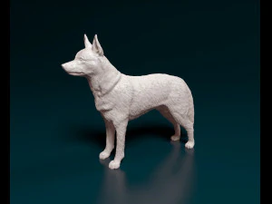 Kelpie 3D Print Model