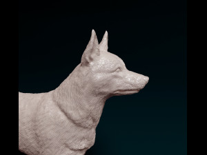 Kelpie 3Dプリントモデル