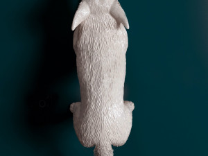 Kelpie 2 3D 打印模型