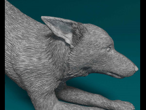 Kelpie 2 3D 打印模型