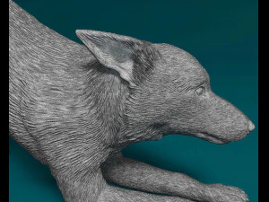 Kelpie 2 3D Print Model