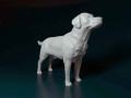 Labrador 3D प्रिंट मॉडल