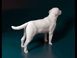 Labrador 3D 프린트 모델