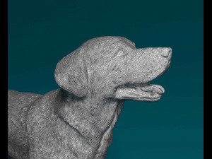 Labrador 3D 프린트 모델