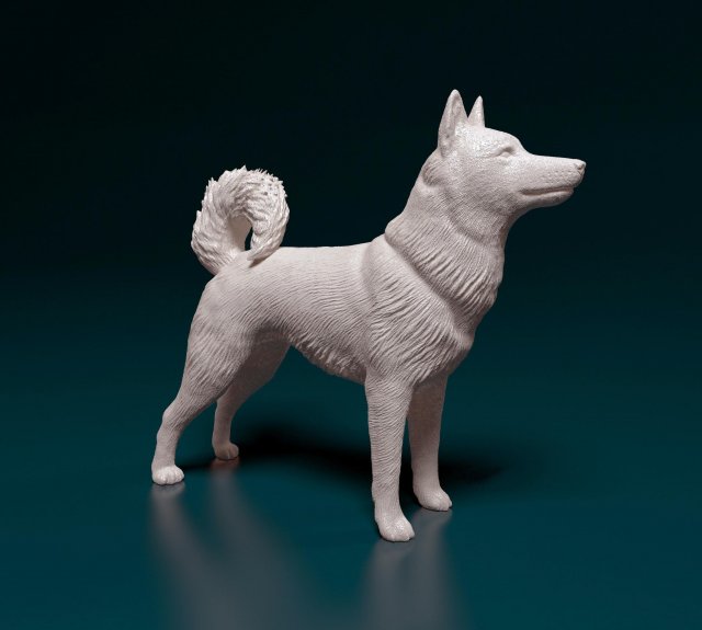 Laika 3D Print Model .c4d .max .obj .3ds .fbx .stl .blend 