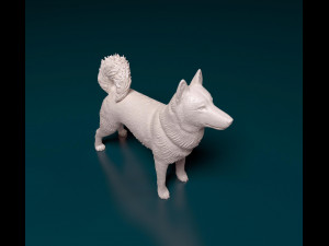 Laika 3D Print Model