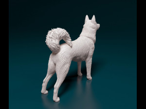 Laika 3D Print Model