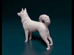 Laika 3D Print Model