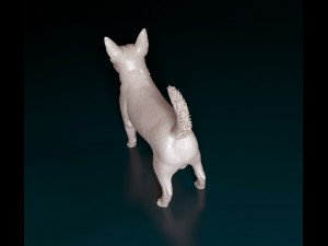 Lancashire Heeler Model Cetak 3D