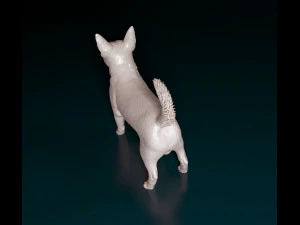 Lancashire Heeler 3D Print Model