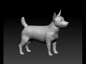Lancashire Heeler Model Cetak 3D