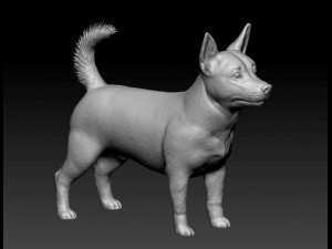 Lancashire Heeler Model Cetak 3D