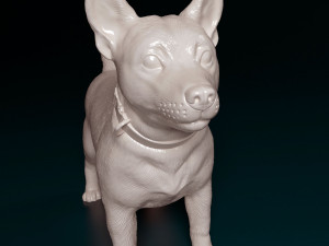 Lancashire Heeler Model Cetak 3D