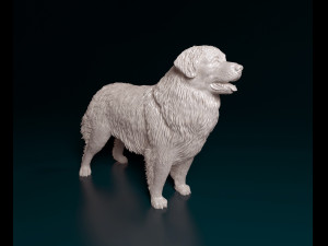 Leonberger 3D Print Model