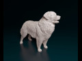 Leonberger 3D प्रिंट मॉडल