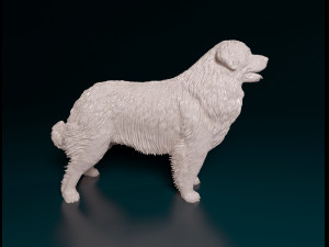 Leonberger Modello di stampa 3D