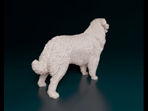 Leonberger Modello di stampa 3D