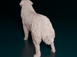 Leonberger Modello di stampa 3D