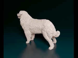 Leonberger Modello di stampa 3D