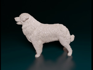 Leonberger Modello di stampa 3D