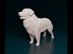 Leonberger Modello di stampa 3D