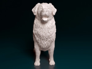 Leonberger Modello di stampa 3D