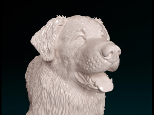 Leonberger Modello di stampa 3D
