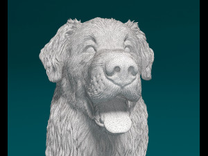 Leonberger Modello di stampa 3D