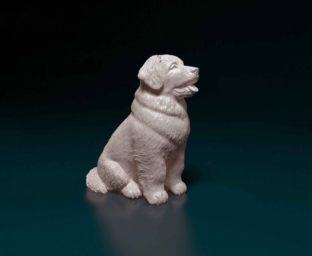 Leonberger puppy Modello di stampa 3D .c4d .max .obj .3ds .fbx .stl .blend