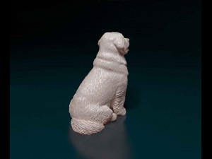 Leonberger puppy Modello di stampa 3D