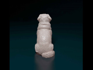 Leonberger puppy Modello di stampa 3D