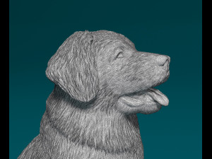 Leonberger puppy Modello di stampa 3D