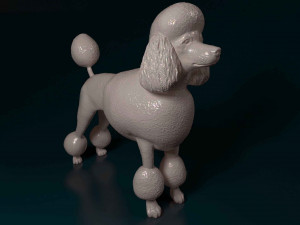Poodle Lion-haired 3D Print Model