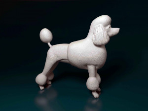 Poodle Lion-haired 3D प्रिंट मॉडल