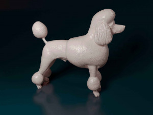 Poodle Lion-haired 3D प्रिंट मॉडल