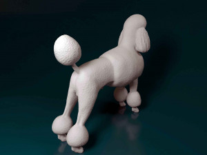 Poodle Lion-haired 3D प्रिंट मॉडल