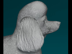 Poodle Lion-haired 3D प्रिंट मॉडल