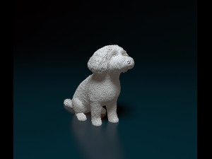 Mini Poodle cross 3Dプリントモデル