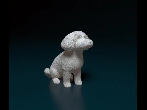 Mini Poodle cross 3D Print Model