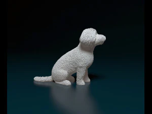Mini Poodle cross 3D Print Model