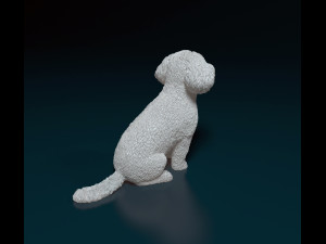 Mini Poodle cross 3D प्रिंट मॉडल