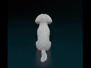 Mini Poodle cross 3D Print Model