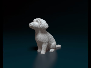 Mini Poodle cross 3D प्रिंट मॉडल