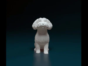 Mini Poodle cross 3D Print Model