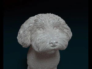 Mini Poodle cross 3D Print Model