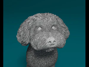 Mini Poodle cross 3D Print Model