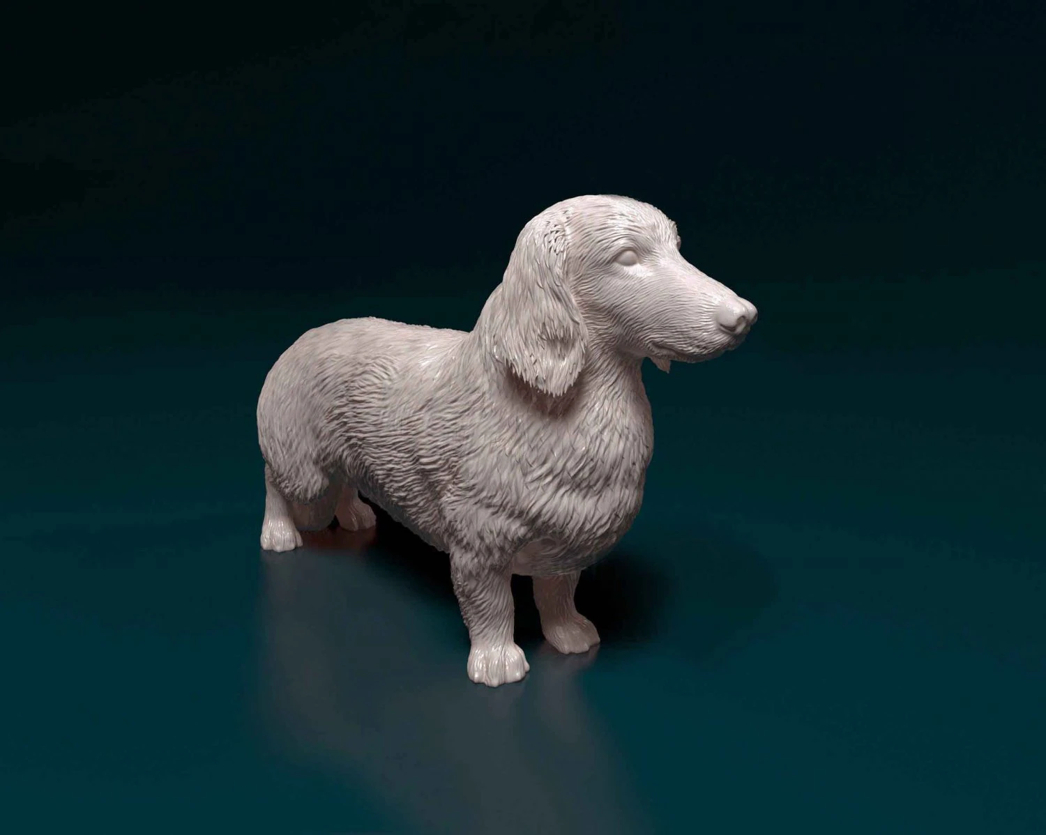 Dachshund Long-haired 3D Print Model .c4d .max .obj .3ds .fbx .stl .blend 