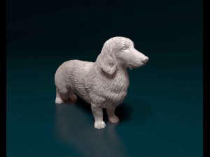 Dachshund Long-haired Modelo de impresión 3D